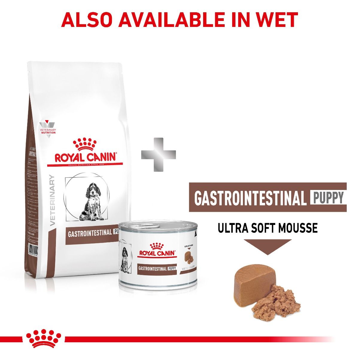 Gastrointestinal junior deals